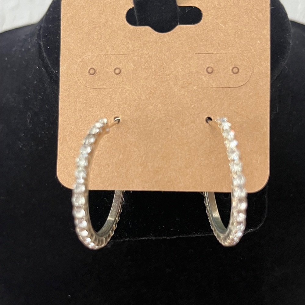 Elegant Gold Hoop Earrings
